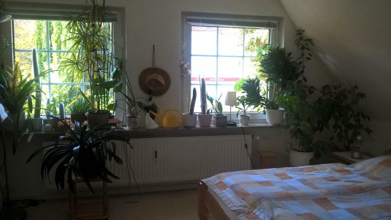 Gemuetl. Ferienwohnung Und Privatzimmer Hamburg Exterior photo